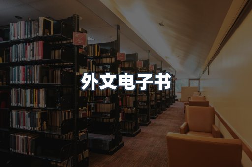 外文电子书